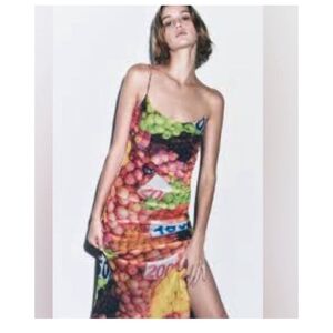 🍏🍌🍐🍒 Ruched Mesh Fruit Stand Dress